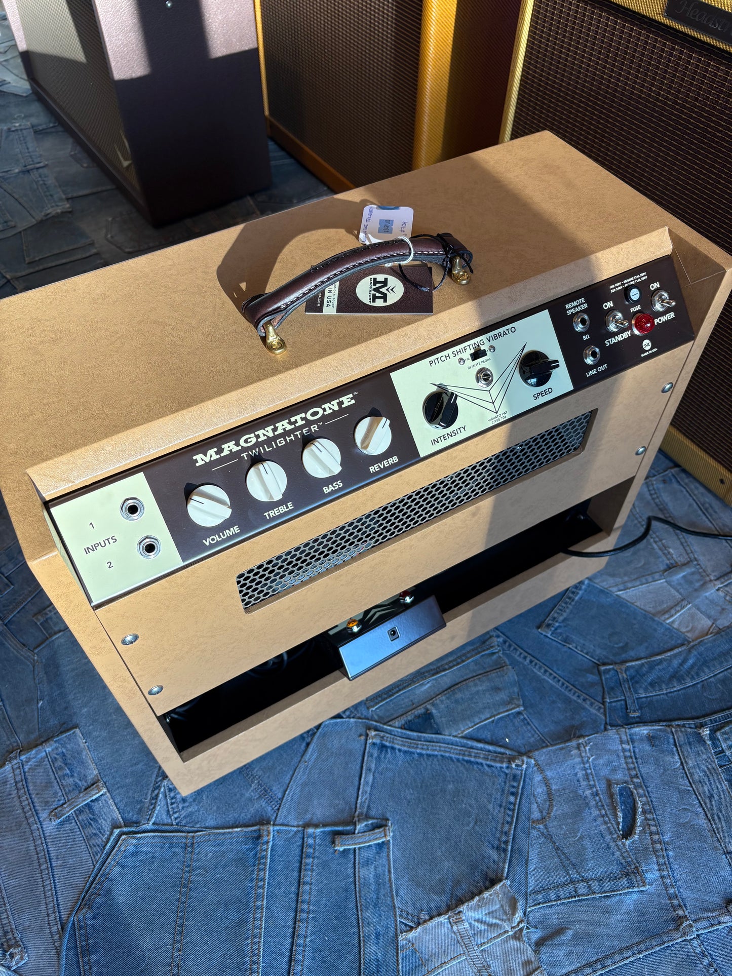 Magnatone Twilighter Mono