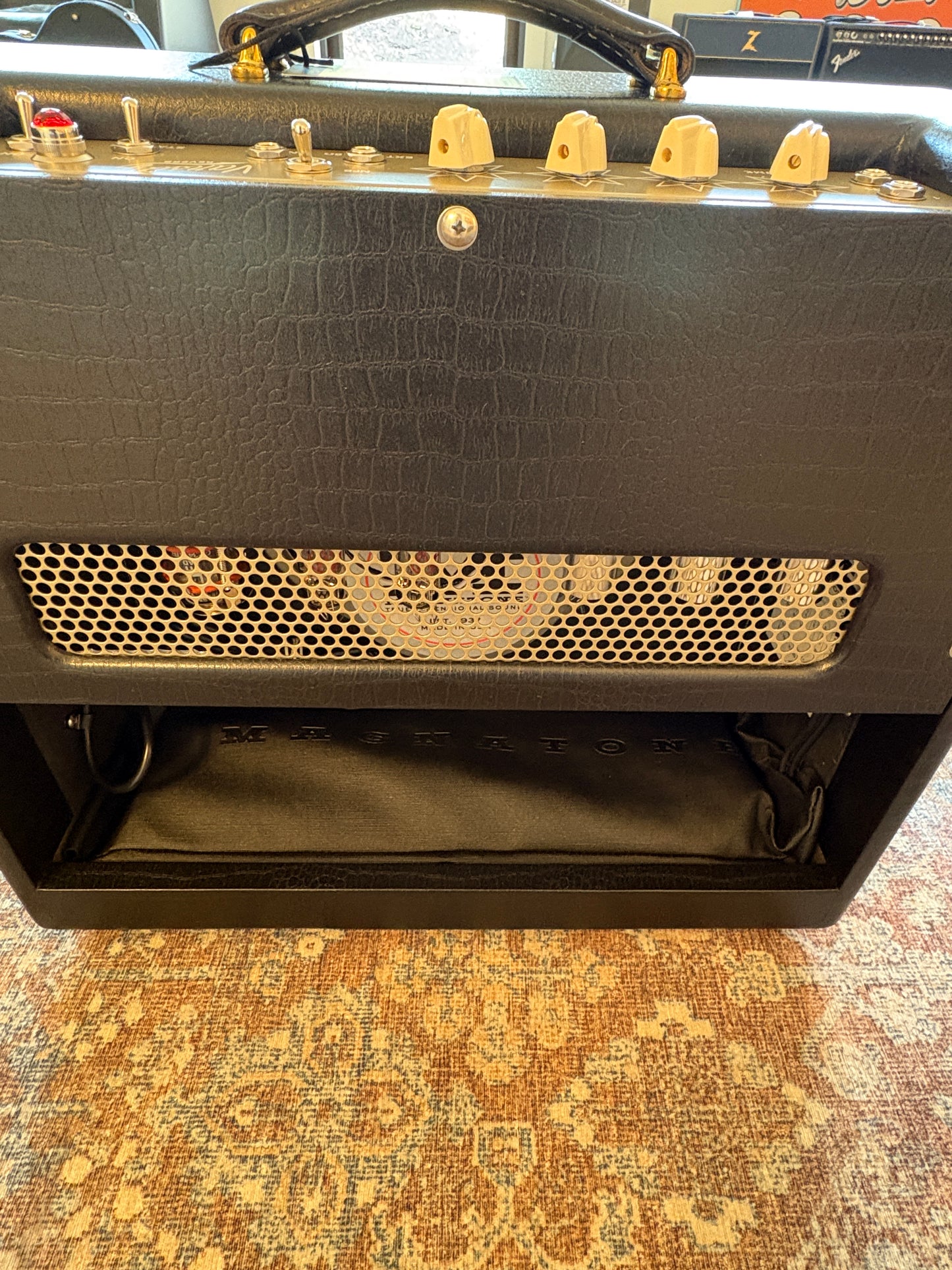 Magnatone Varsity Reverb Cathedral Combo Hand Wired