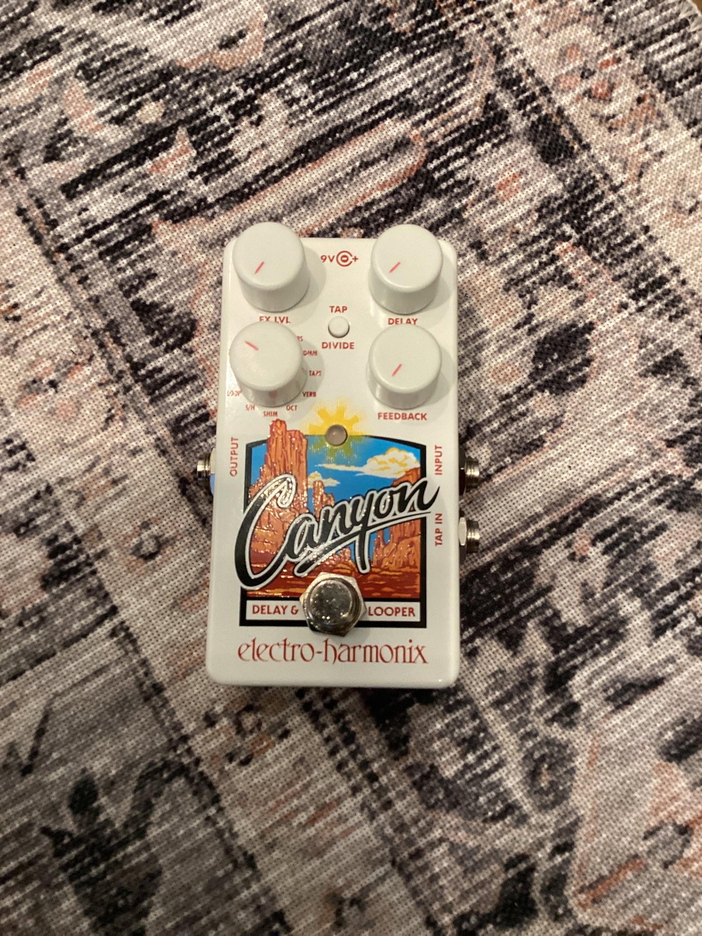 EHX Canyon Delay and Looper