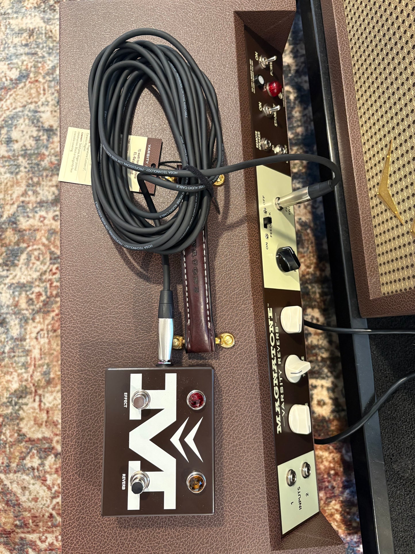 Magnatone Varsity Amp