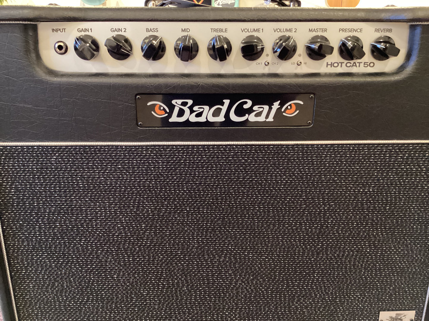 Bad Cat Hot Cat 50 Mod Shop Combo