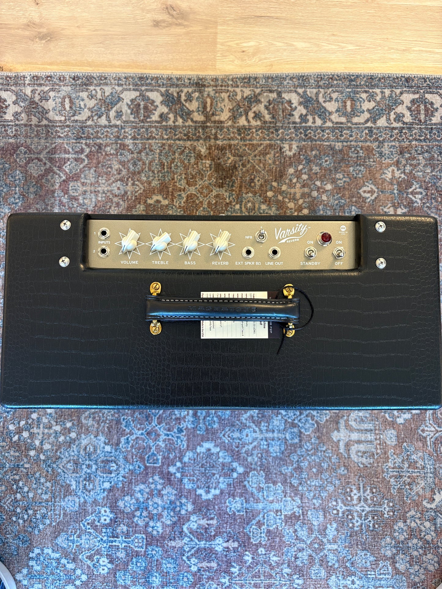 Magnatone Varsity Reverb Cathedral Combo Hand Wired