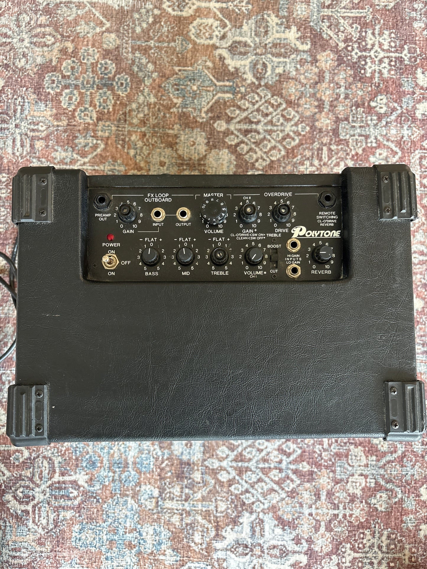 USED Polytone Mini-Brute II