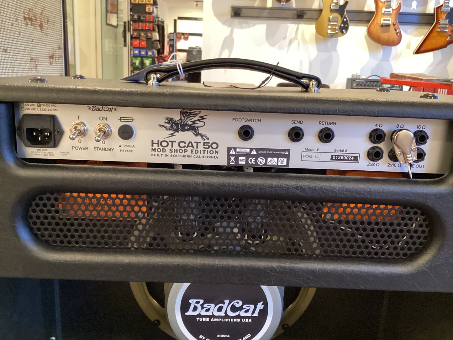 Bad Cat Hot Cat 50 Mod Shop Combo