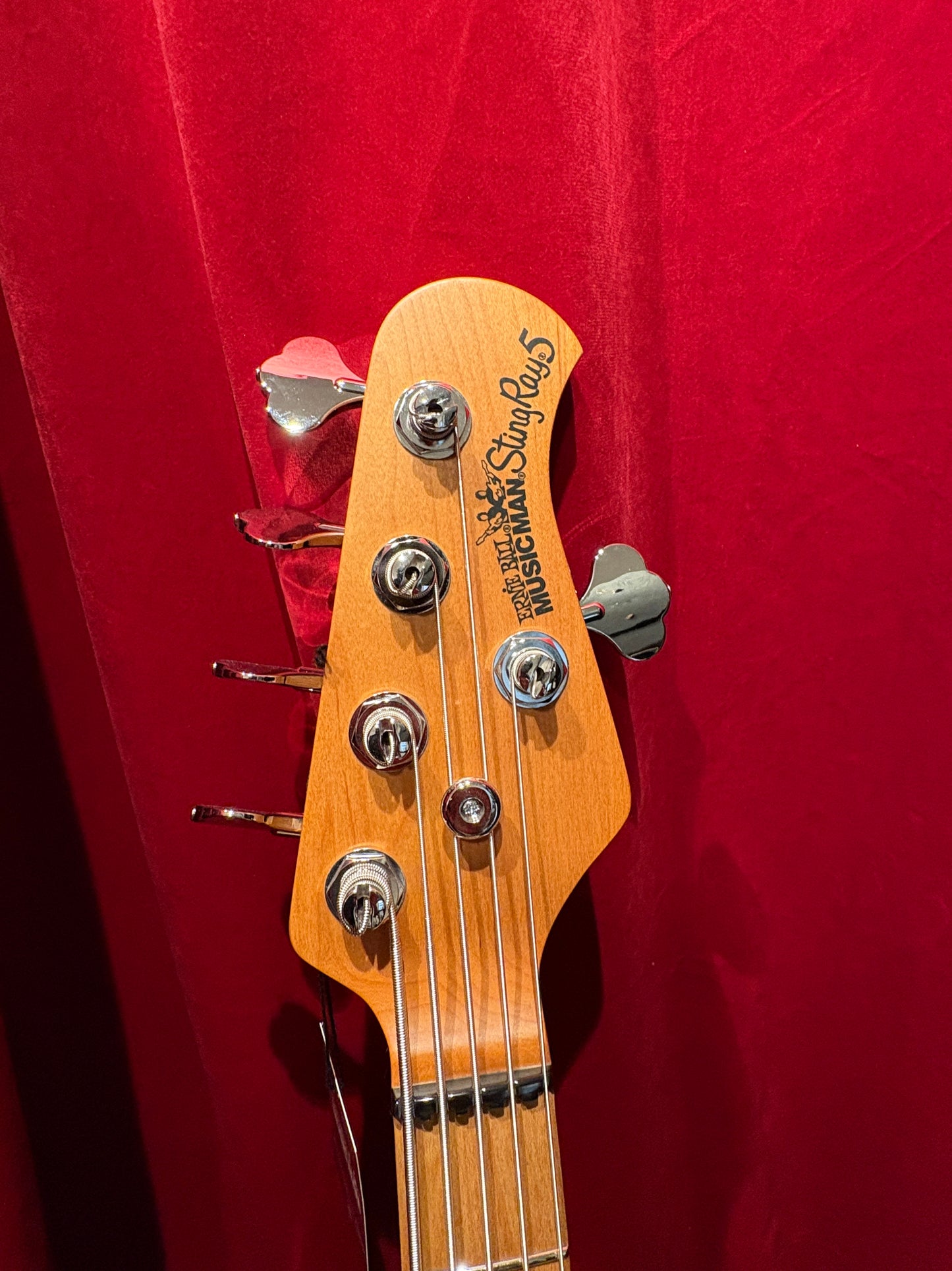 Ernie Ball Stingray 5 Black
