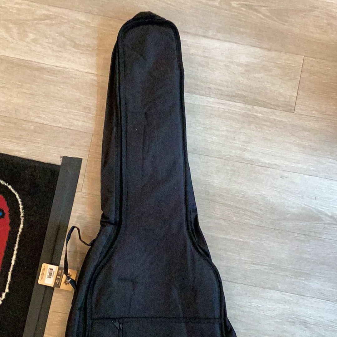 Levy's Classical Gig bag