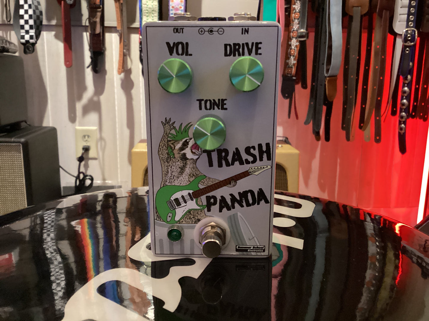 Summer School Trash Panda