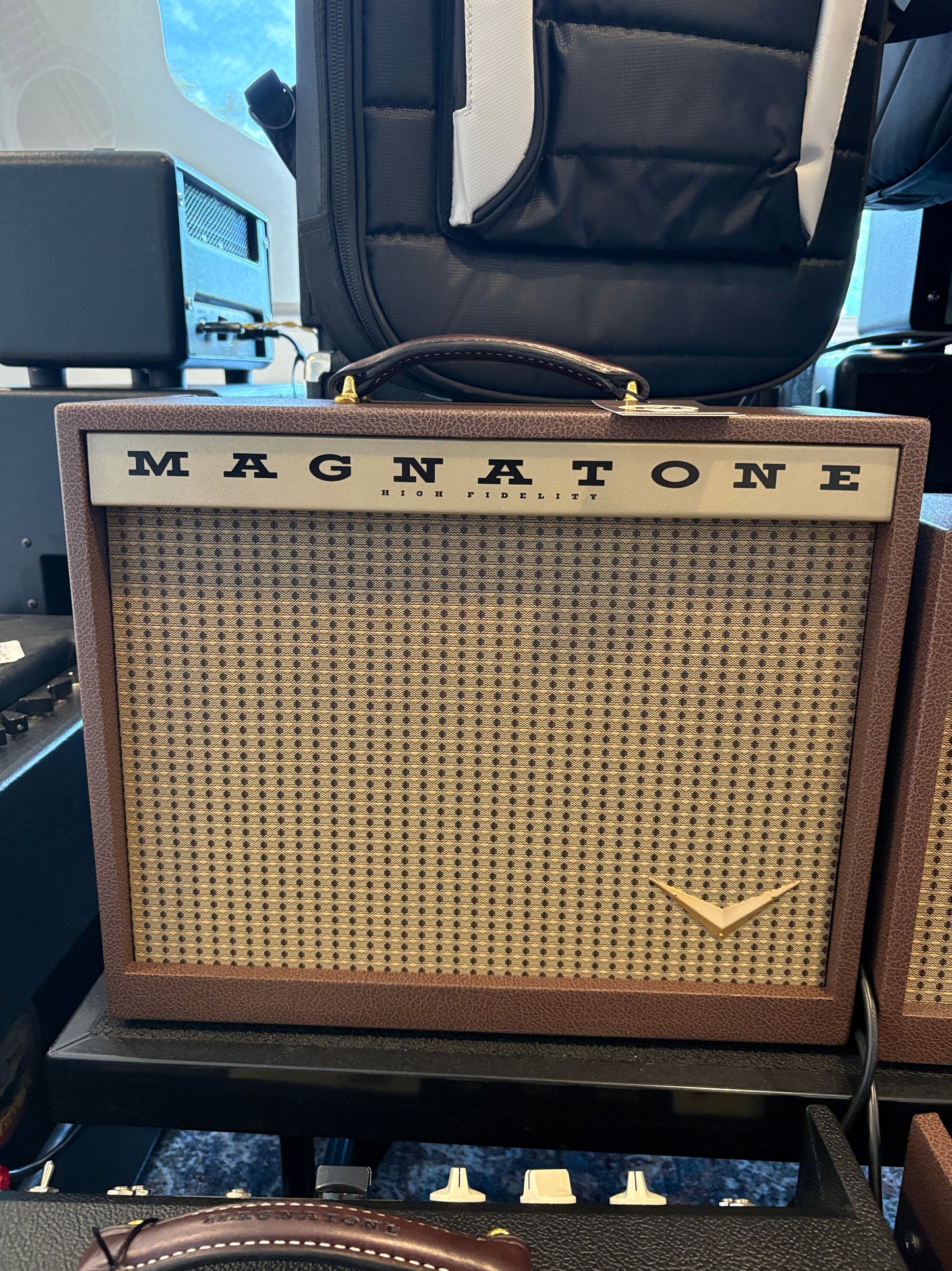 Magnatone Starlite Reverb 1/10