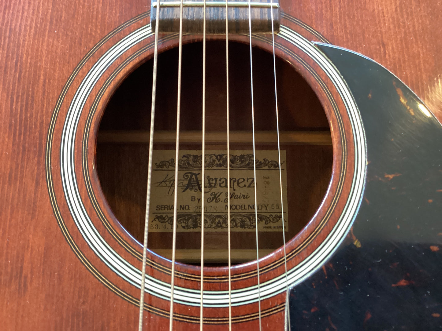 USED Alvarez Yairi DY55