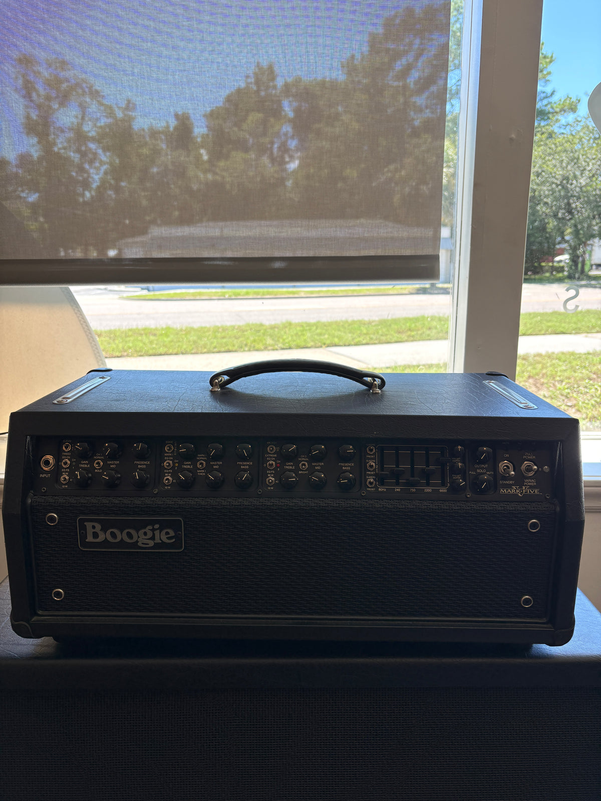 USED Mesa Boogie Mark V Head