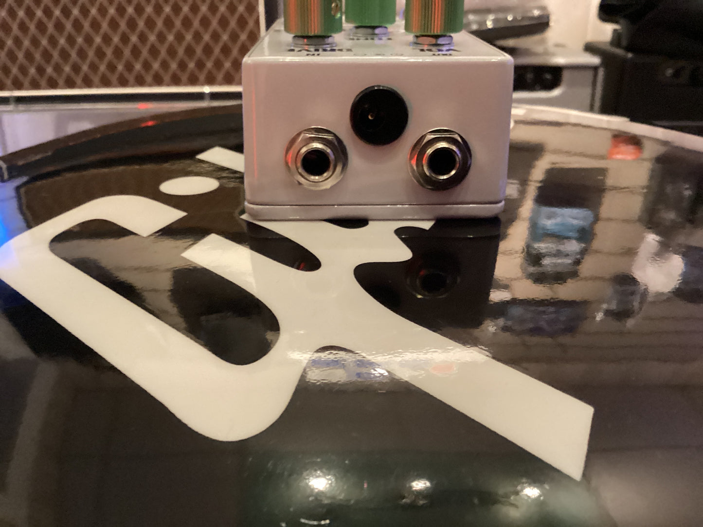 Summer School Trash Panda