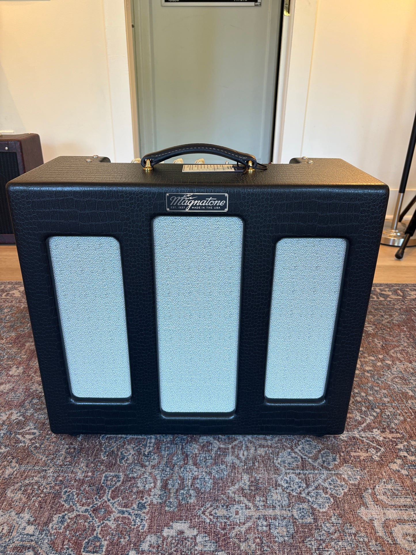 Magnatone Varsity Reverb Cathedral Combo Hand Wired