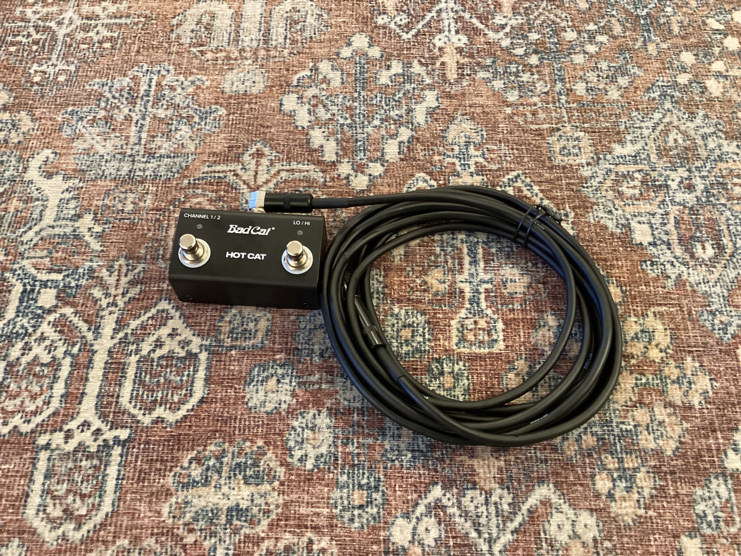 Bad Cat Hot Cat 50 Mod Shop Combo