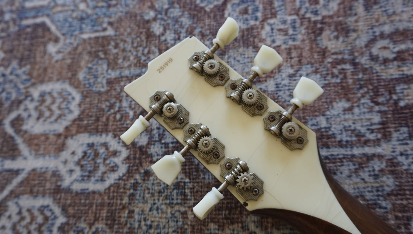 Rock N Roll Relics Revenge P-90s