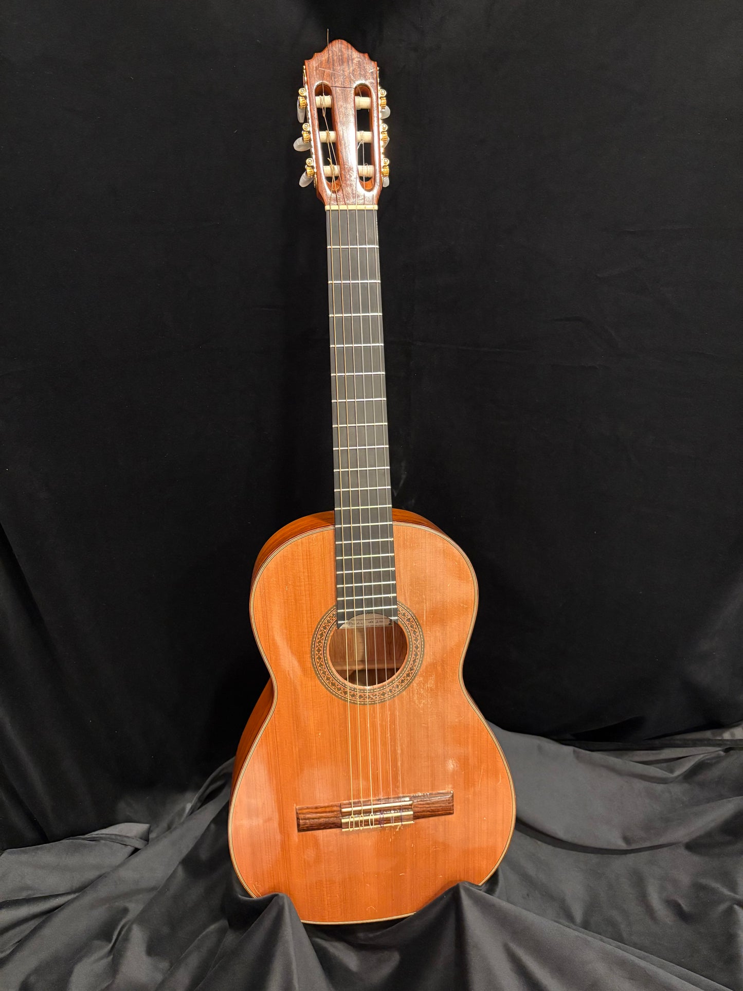 USED Prodigy Classical