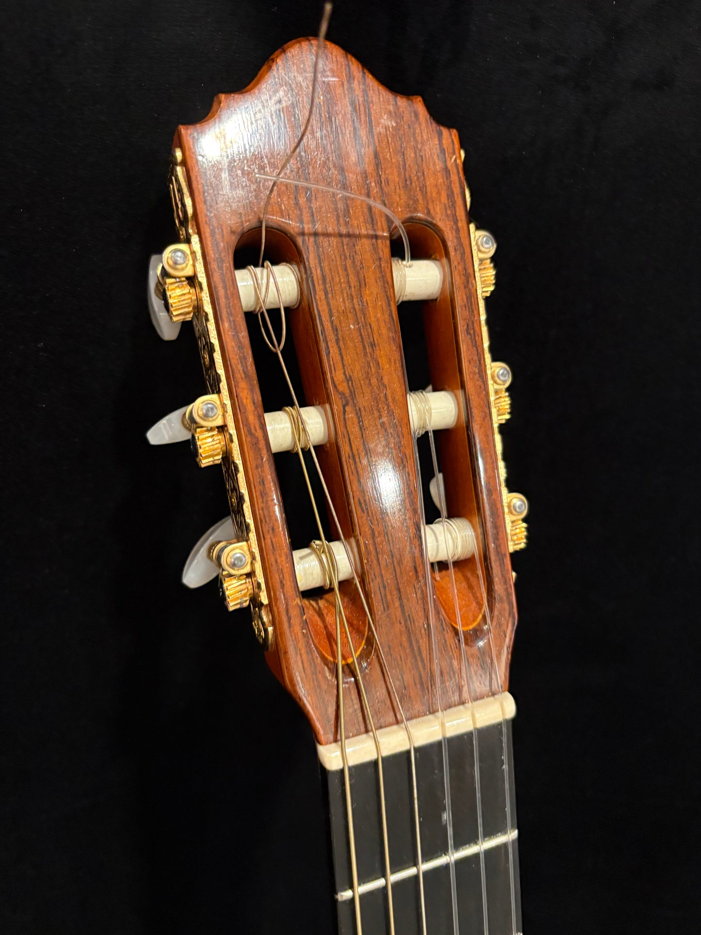 USED Prodigy Classical