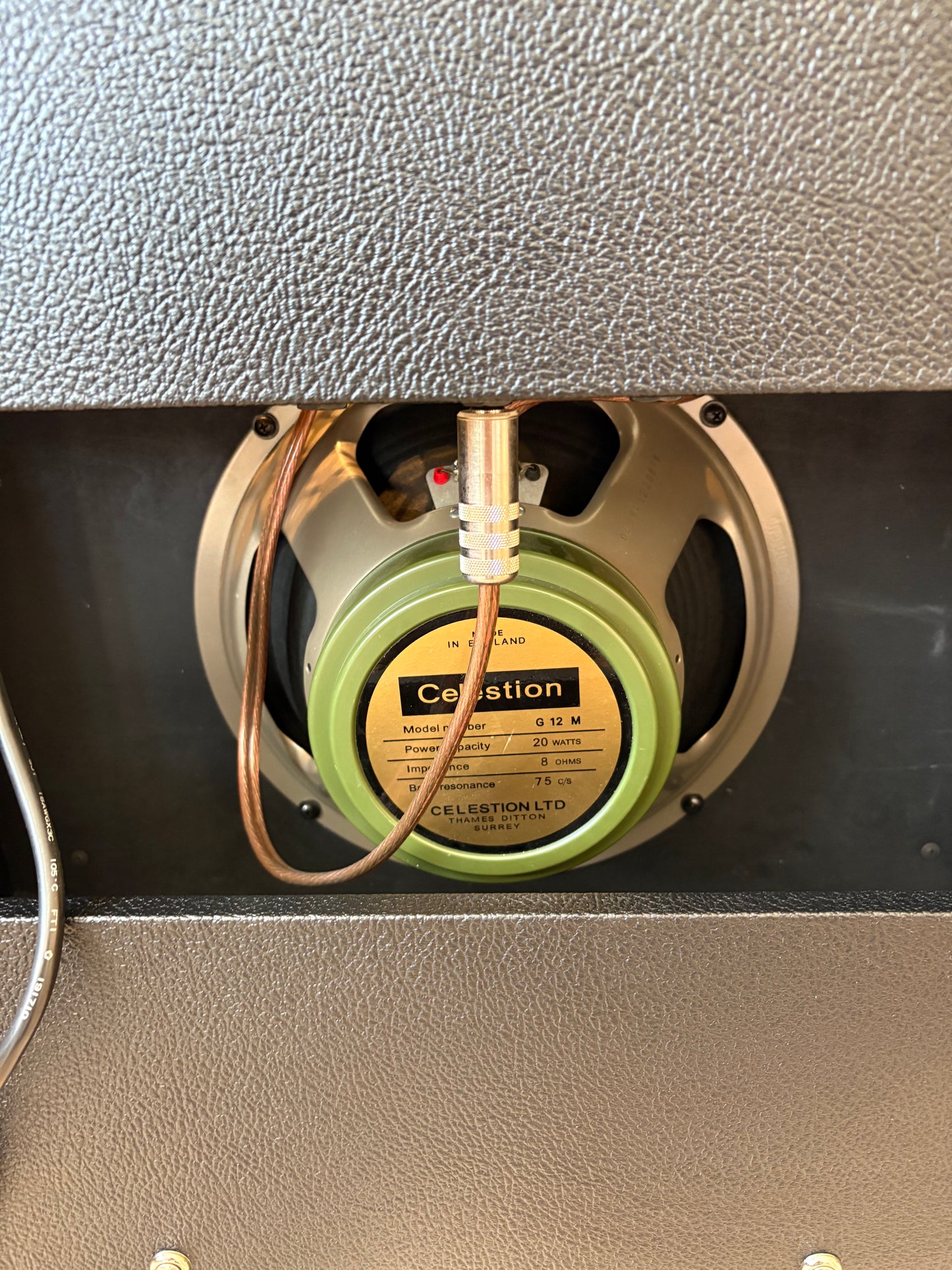 USED Mojave Coyote Amp*